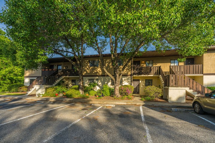 Homes in Dovefield, Charleston