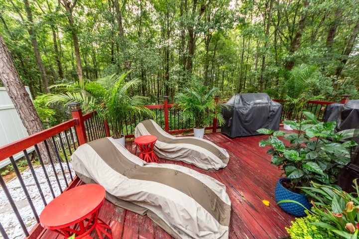 Homes in Palmetto Row, Summerville