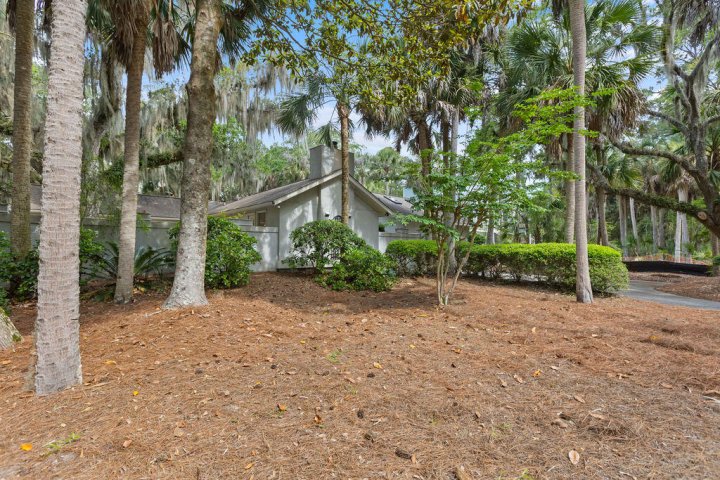 Homes in Seabrook Island, Johns Island