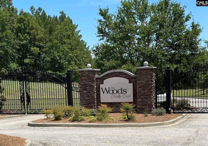 260 Retreat Way active home in THE WOODS OF MOLLY CREEK, Ridgeway, SC