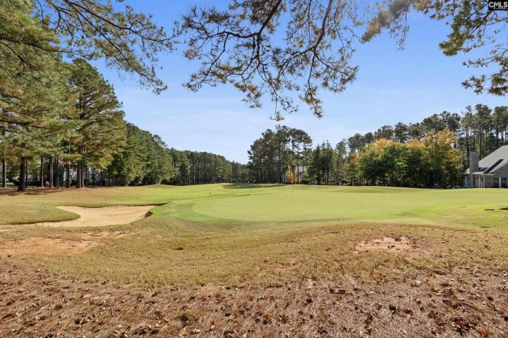 245 Woodlander Drive active home in Cobblestone Park, Blythewood, SC