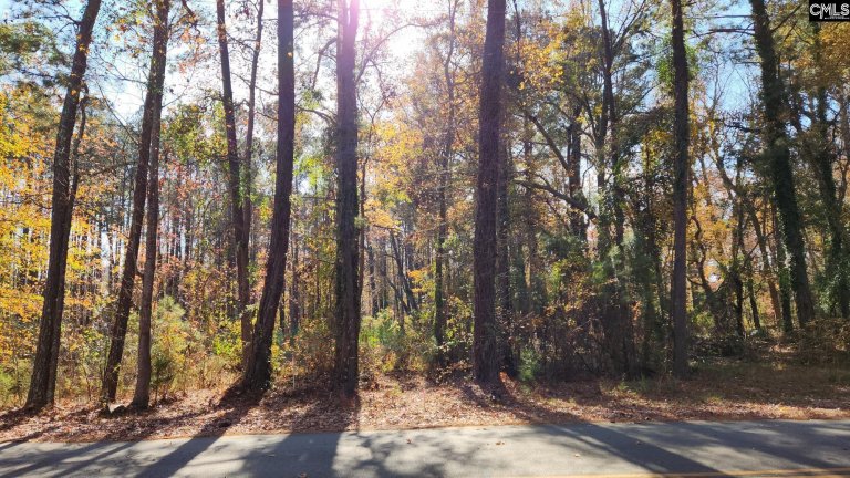 2235 Old Cherokee Road Lot #5 active home in AVERY PINES, Lexington, SC