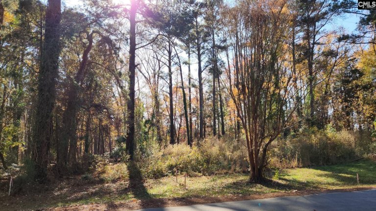 2247 Old Cherokee Road Lot #6 active home in AVERY PINES, Lexington, SC