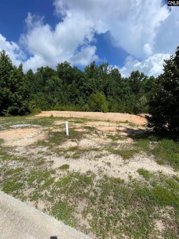 51 Edinburgh Castle Lane active home in RUTLEDGE PLACE, Camden, SC
