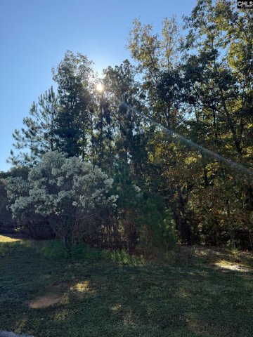 761 Carolina Aster Drive pending home in Cobblestone Park, Blythewood, SC