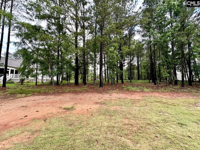 513 Misty Banks Drive active home in WHITEWATER LANDING, Chapin, SC