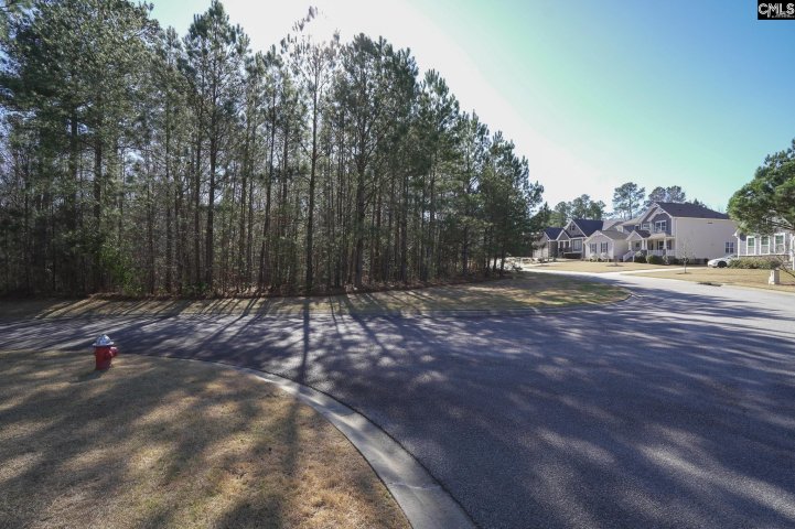 329 Brunner Circle pending home in Cobblestone Park, Blythewood, SC
