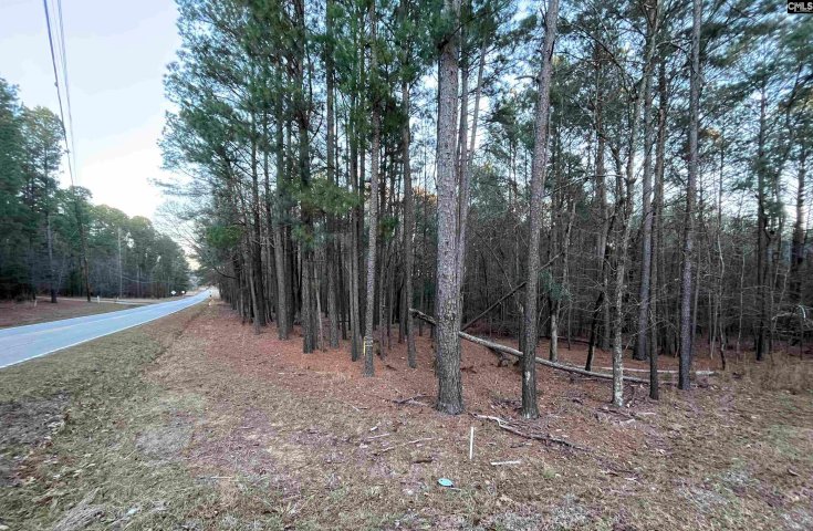 0 Hollands Landing Road active home in Stewart Landing, Prosperity, SC