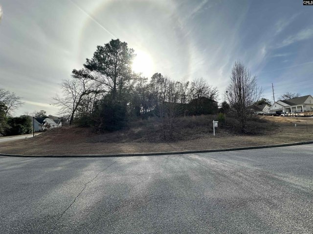 Homes in Rockbridge Village, Columbia