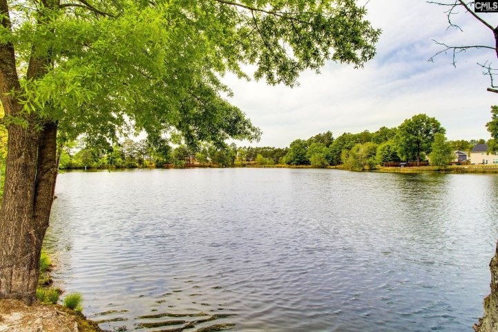 140 Southern Lake Court pending home in Friendship Hill Farms, Camden, SC