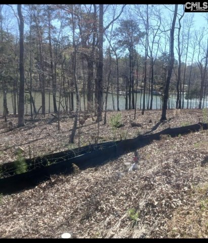 1061 Refuge Place active home in Whitewater Landing, Chapin, SC