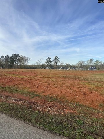 Clouds Creek Circle active home in Palmetto Pointe, Leesville, SC