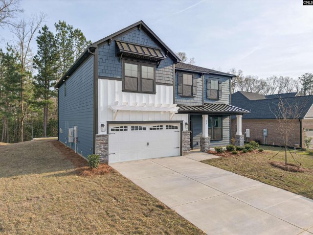 20 Elk Run Court pending home in Collins Cove, Chapin, SC