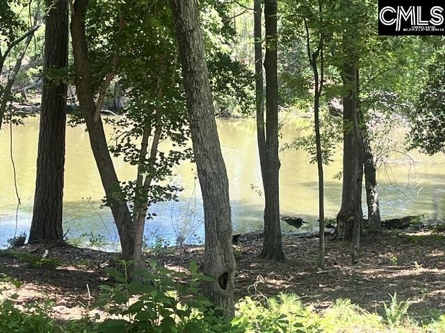 133 Lands End Lane pending home in Lands End At Woodside Shores, Prosperity, SC