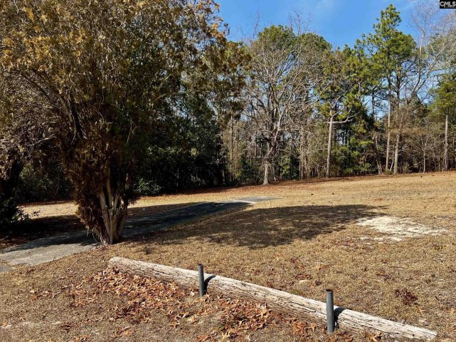 Homes in Trenholm Acres, Columbia