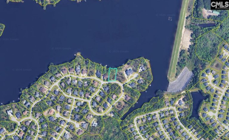 Homes in Lake Carolina - The Peninsula, Columbia