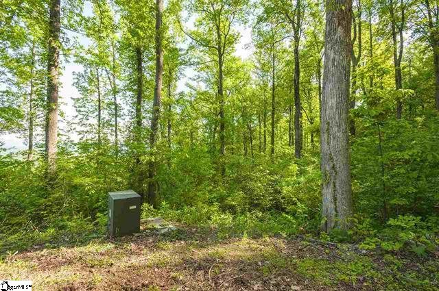 115 Greenedge Lane (Lot 13) sold home in The Ridges At Paris Mountain, Greenville, SC