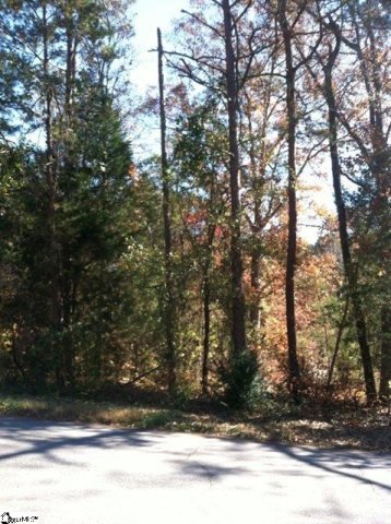 113 Mill Pond Road sold home in Lukes Crossing, Easley, SC
