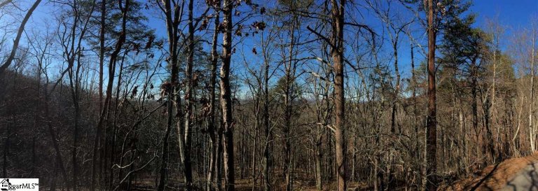 Laurel Ridge Road sold home in Laurel Ridge, Greenville, SC