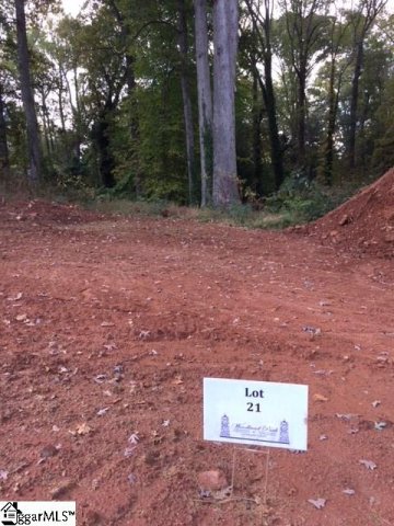 21 Gardenview Avenue Lot 21 sold home in Woodland Park At Cleveland Fores, Greenville, SC
