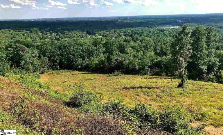 18 Tropicana Court Lot 3 sold home in City Lights, Greenville, SC