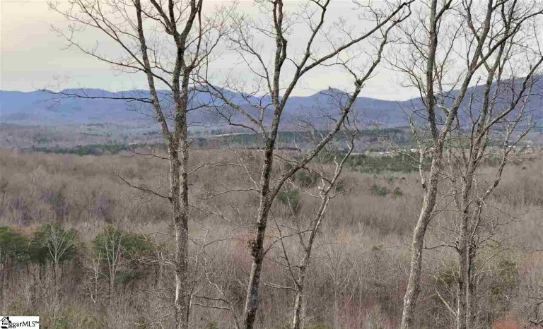1 Placid Cove sold home in Pack Ridge, Taylors, SC