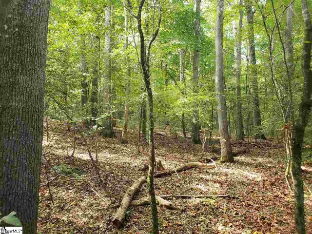 879 Dunklin Bridge Road sold home in Horse Creek Farms, Fountain Inn, SC