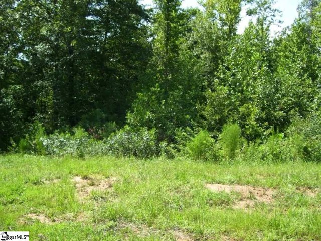 105 White Willow Court Lot 3 sold home in Willow Ridge, Easley, SC
