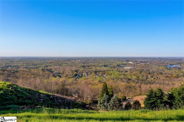 25 Tropicana Court Lot 5 sold home in City Lights, Greenville, SC