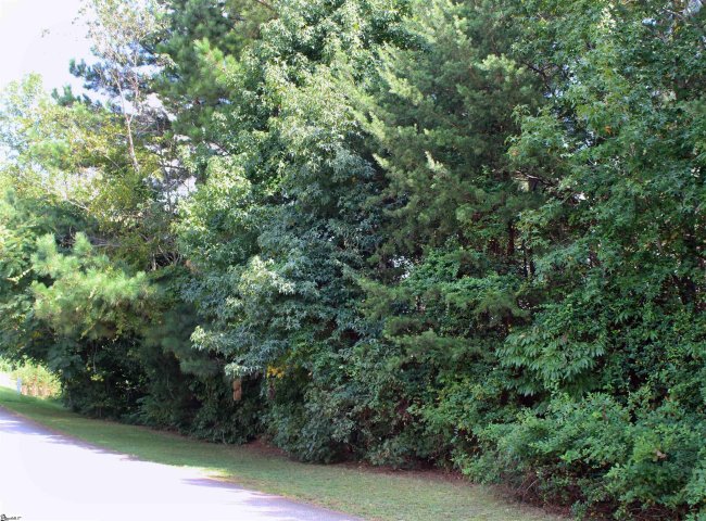 479 Packs Mountain Ridge Road sold home in Pack Ridge, Taylors, SC
