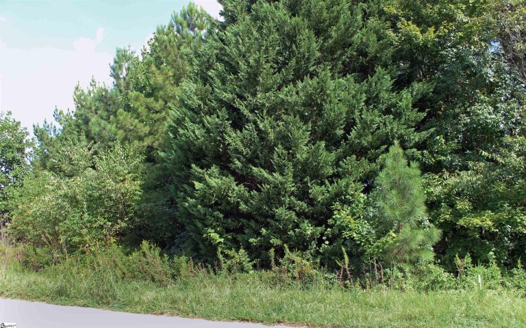 485 Packs Mountain Ridge Road sold home in Pack Ridge, Taylors, SC