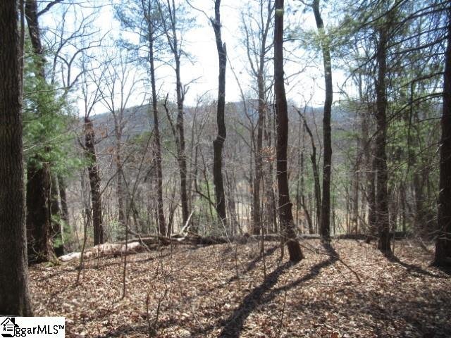 115 Oolenoy Court sold home in The Rock At Jocassee, Pickens, SC