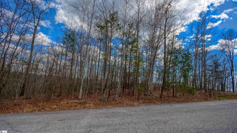 00 Treasure Trail sold home in Emerald Falls, Cleveland, SC