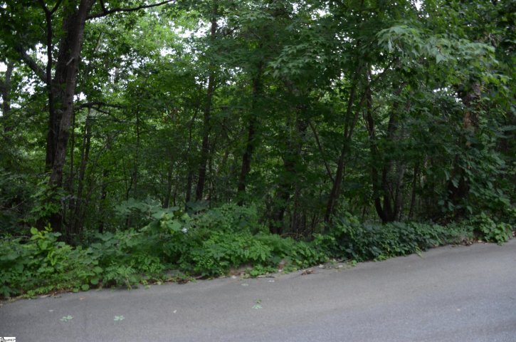 00 Altamont Forest Road LOT 18 sold home in Paris Mt Area, Greenville, SC