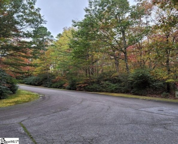 3 Larkspur Lane active home in Cliff Ridge At Caesars Head, Cleveland, SC
