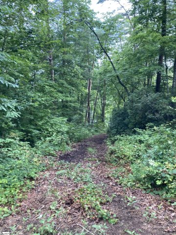 709 Peregrine Trail sold home in The Cliffs At Keowee Falls North, Salem, SC