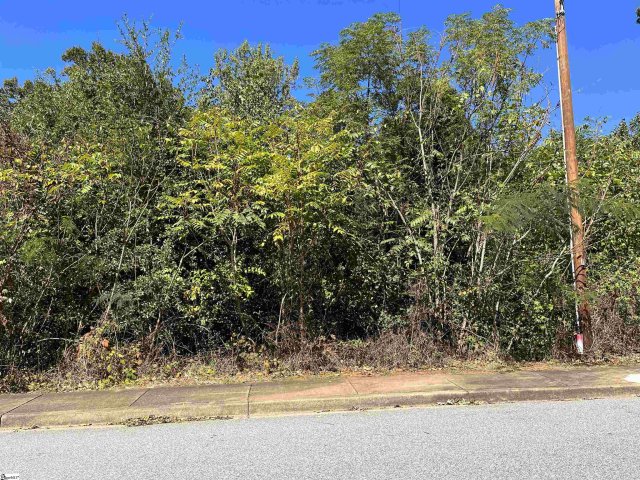 00 Beechridge Way Lot 37 sold home in Parkins Grove, Greenville, SC