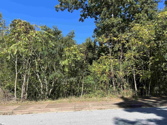 00 Beechridge Way Lot 38 sold home in Parkins Grove, Greenville, SC