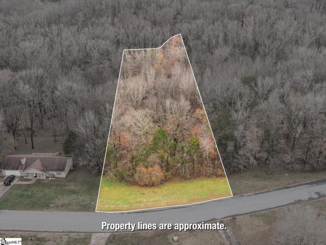 154 Red Globe Lane sold home in Peachtree, Woodruff, SC