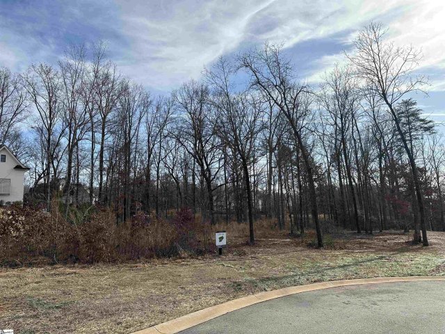 713 Madelina Place sold home in Le Jardin, Greer, SC