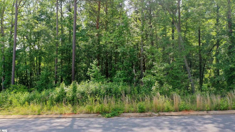 205 Wrenwood Court sold home in Wren Woods, Piedmont, SC