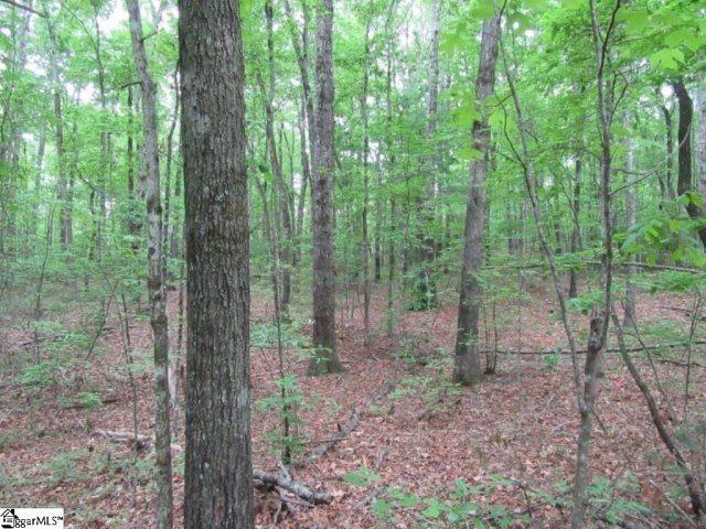 Tracts 34,35,36 Curts Way sold home in Mountain Ridge Estates, Cleveland, SC