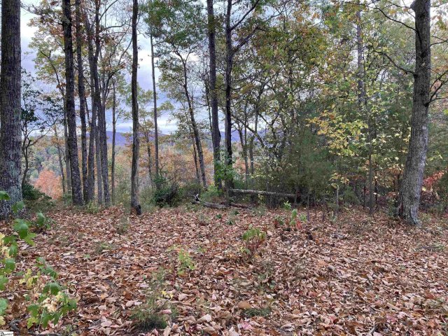 White Fox Trail Lot #15 pending home in The Cliffs At Mountain Park, Marietta, SC