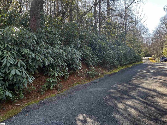 116 Hemlock Trail Lot 182 active home in Cliff Ridge At Caesars Head, Cleveland, SC