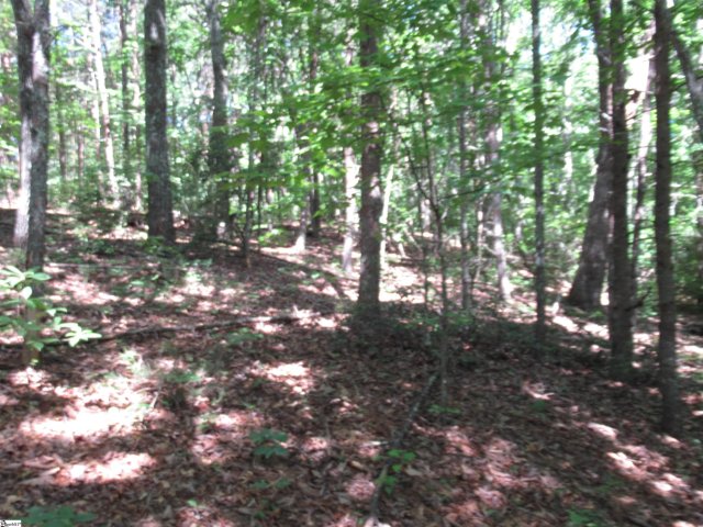 221 River Bluff Road sold home in River Bluff, Cleveland, SC