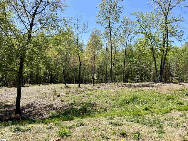 108 Pinelands Place Lot 22 sold home in The Pinelands, Travelers Rest, SC
