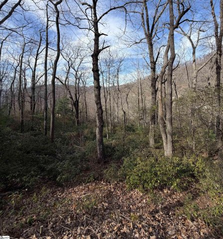 21 High Vista Way active home in Cliffs Valley, Travelers Rest, SC