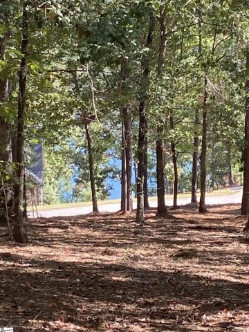 335 Long Cove Trail sold home in The Cliffs At Keowee Falls South, Salem, SC