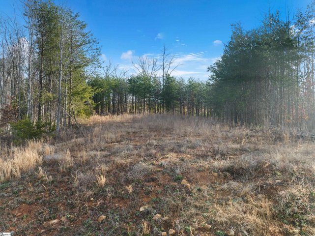 113 Pinelands Place sold home in The Pinelands, Travelers Rest, SC