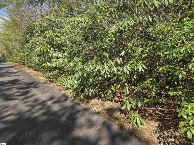17 Cliff Ridge Drive pending home in Cliff Ridge At Caesars Head, Cleveland, SC